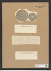 Coscinodiscus aeginensis A. Schm. (de-Toni-Nr.: Genus 202, Species 4930) Zeichnungen Sammlung Grunow Nr. 8513 (NHMW-BOT-W0378134)